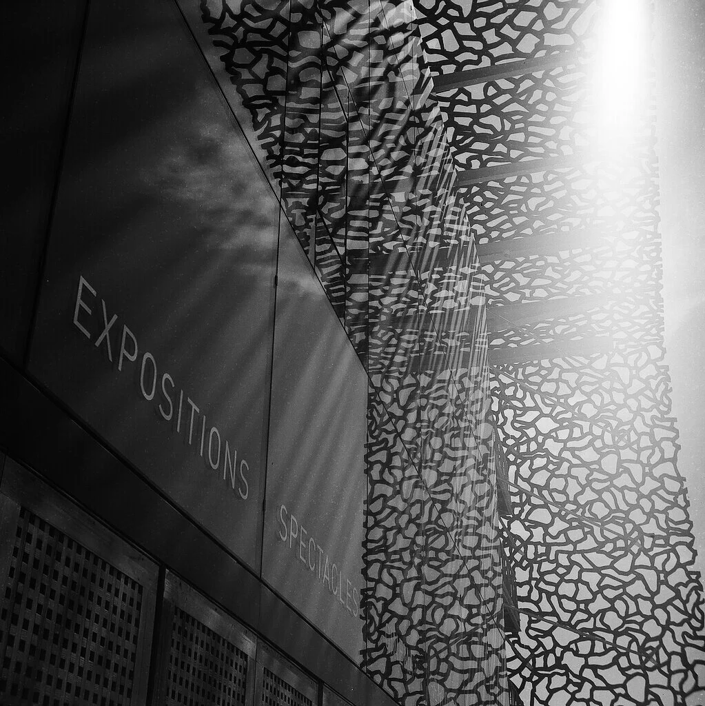  Paris, France. Shot on Ilford 50 with a Yashica-D TLR. 2019. 