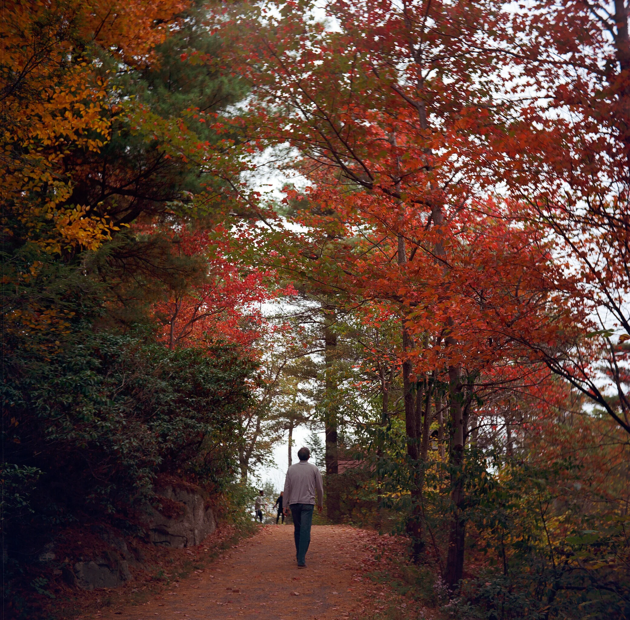  Poughkeepsie, NY. Shot on Ektar 100 with a Yashica-D TLR. 2019. 