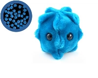 A large blue plush version of the rhinovirus, accompanied by a blue tinted microscopic image of same. Image courtesy of ThinkGeek , where you can buy this cutie.
