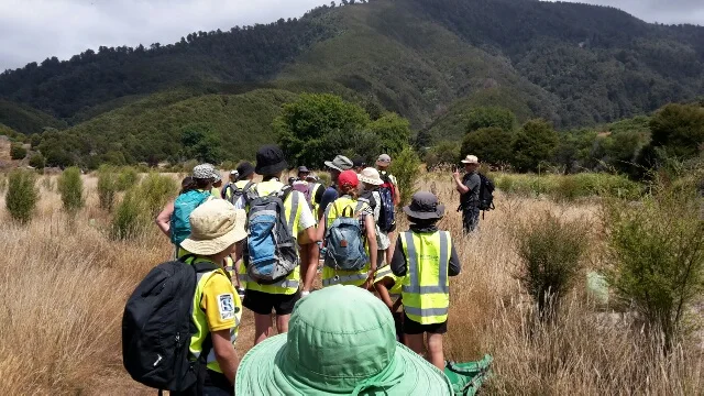 Totaranui