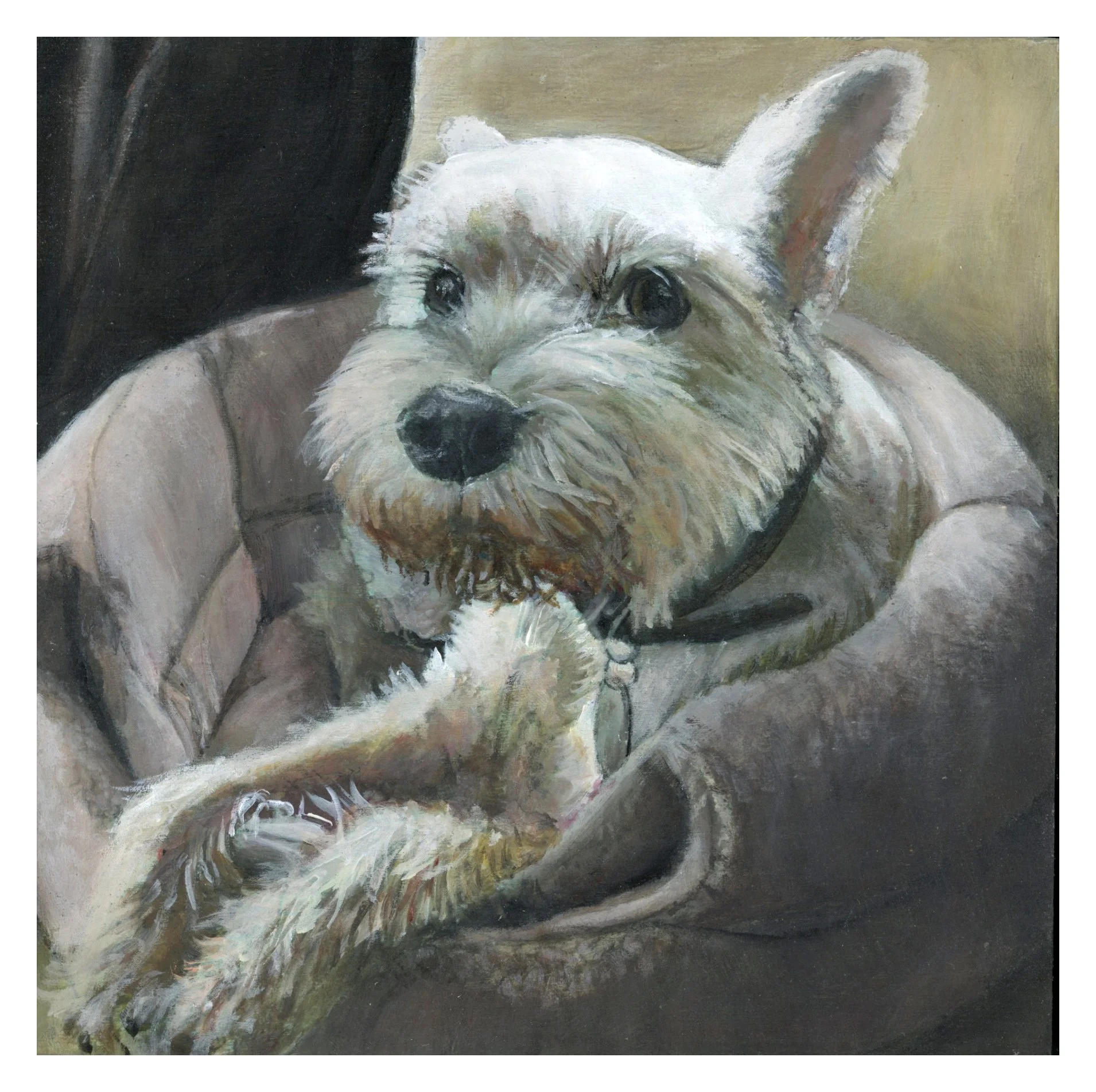 Shirley 2022FINAL.jpg