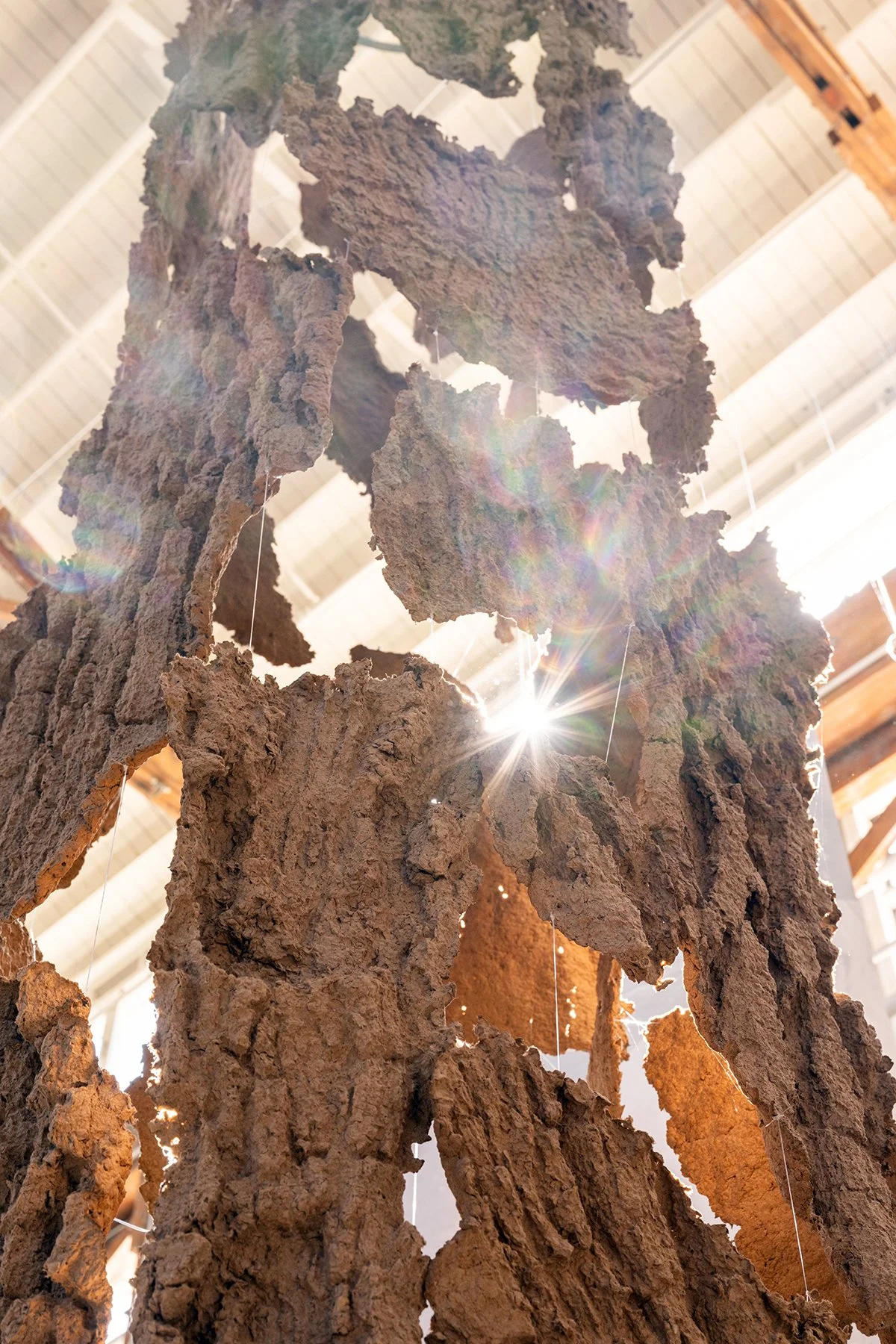 Terrain-2025-DZC_4238 small.jpg