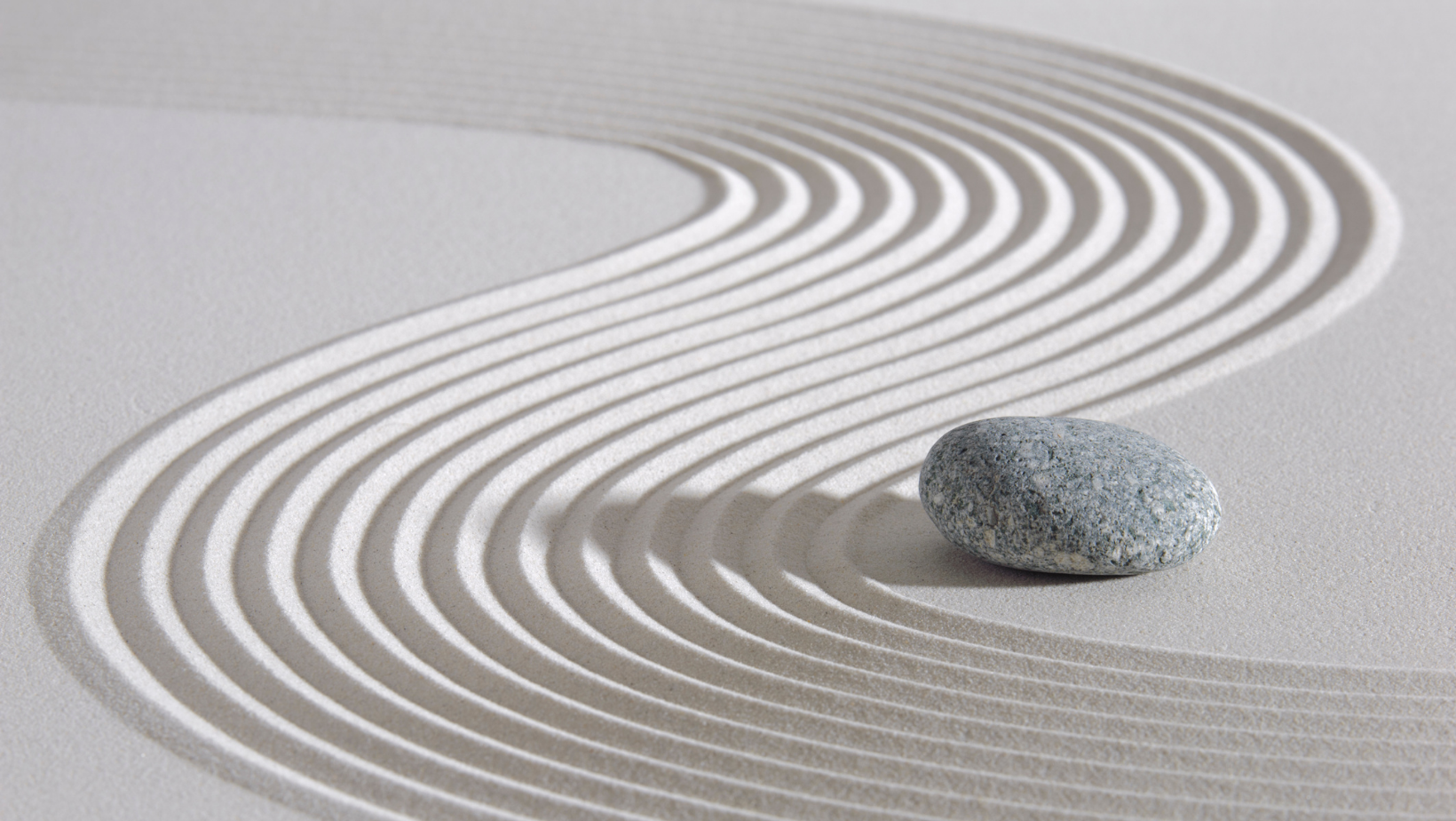 Yin Yoga Master Class