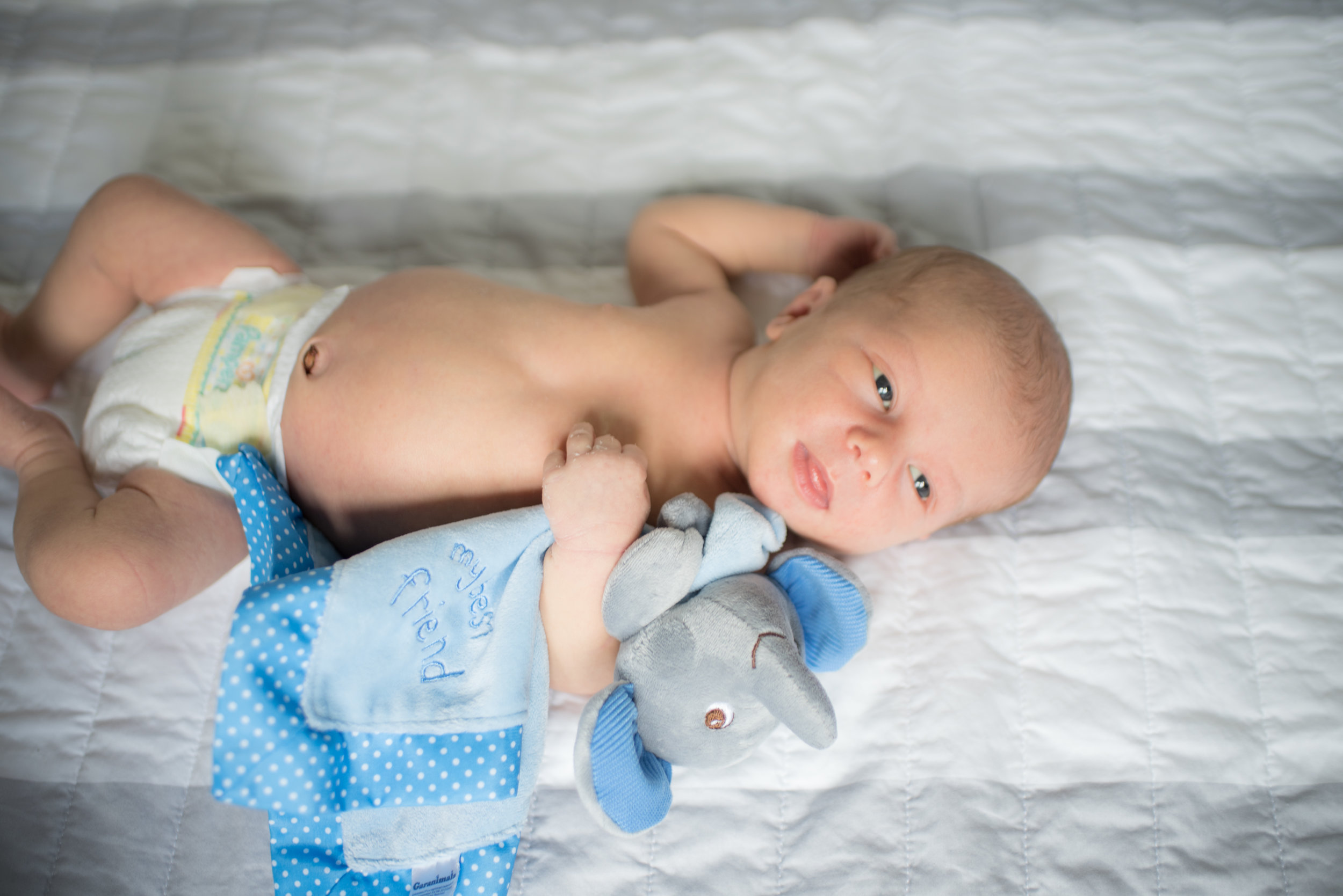 Wyatt Marshall (65 of 125).jpg