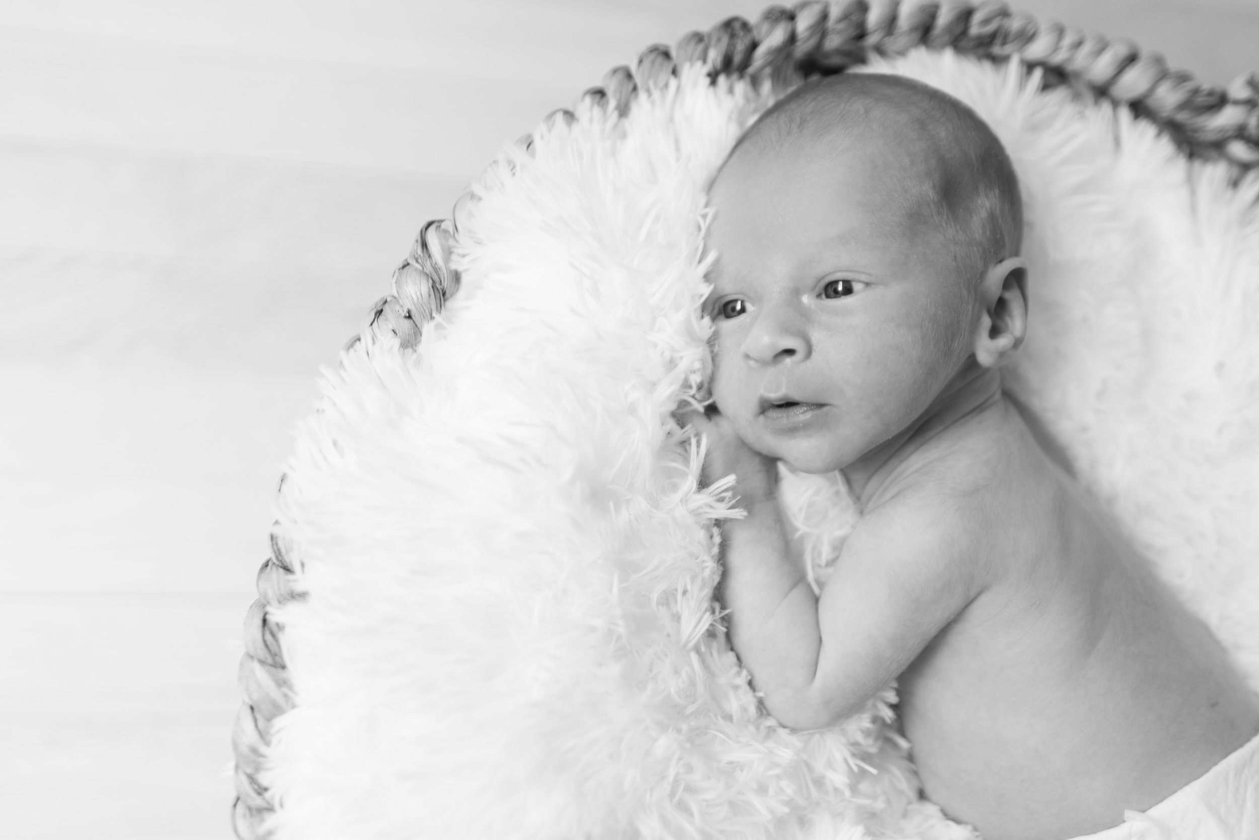 Giller Newborn Session (36 of 156).jpg