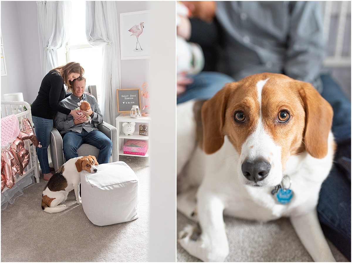 Hank hasn’t quite gotten adjusted to all the attention on someone else ;)