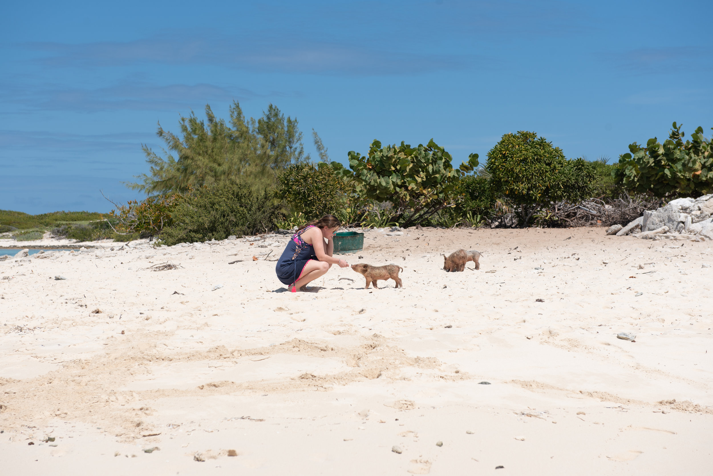 Exuma Bahamas 2019 (10 of 71).jpg