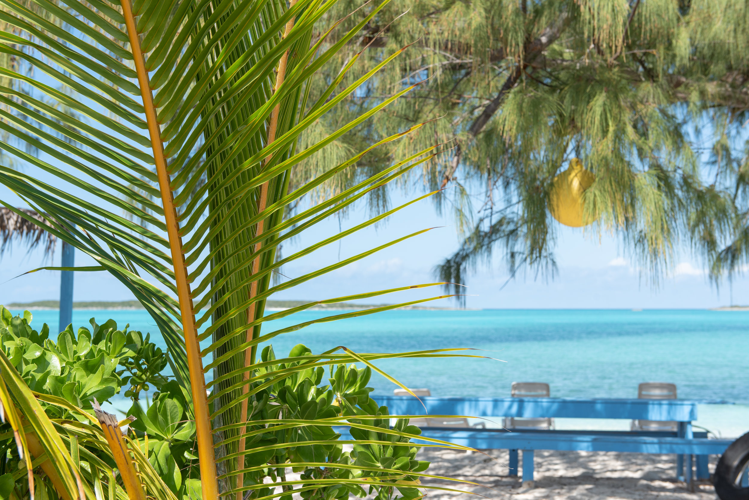 Exuma Bahamas 2019 (16 of 71).jpg