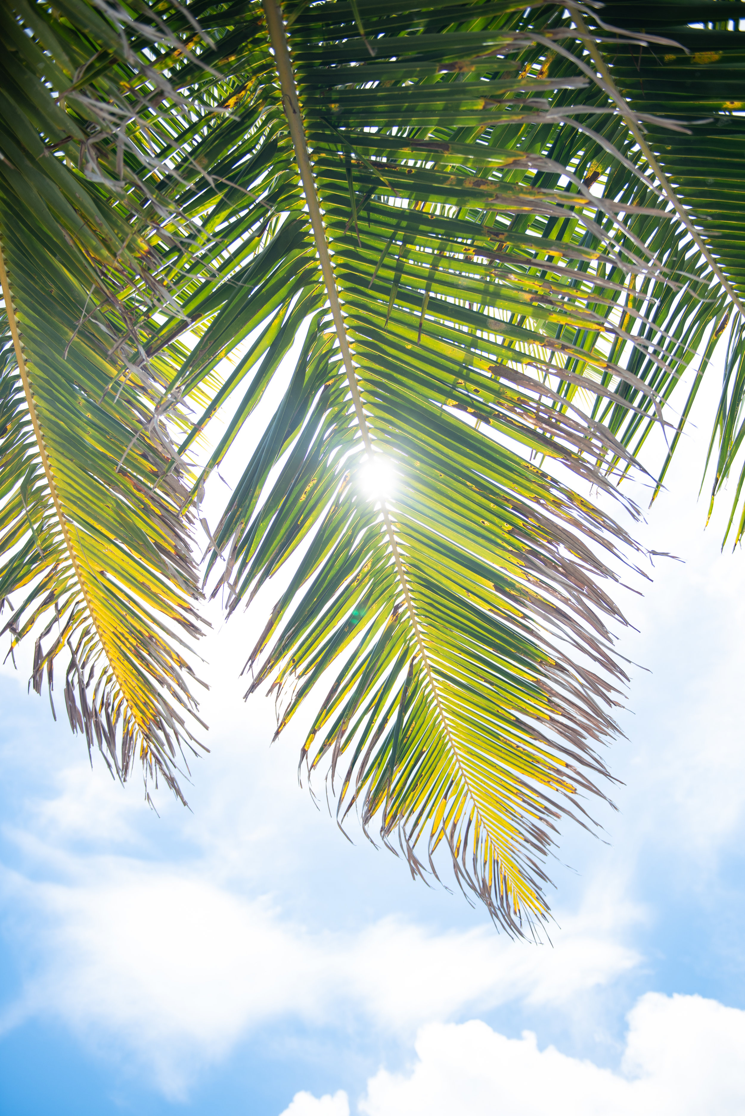 Exuma Bahamas 2019 (69 of 71).jpg