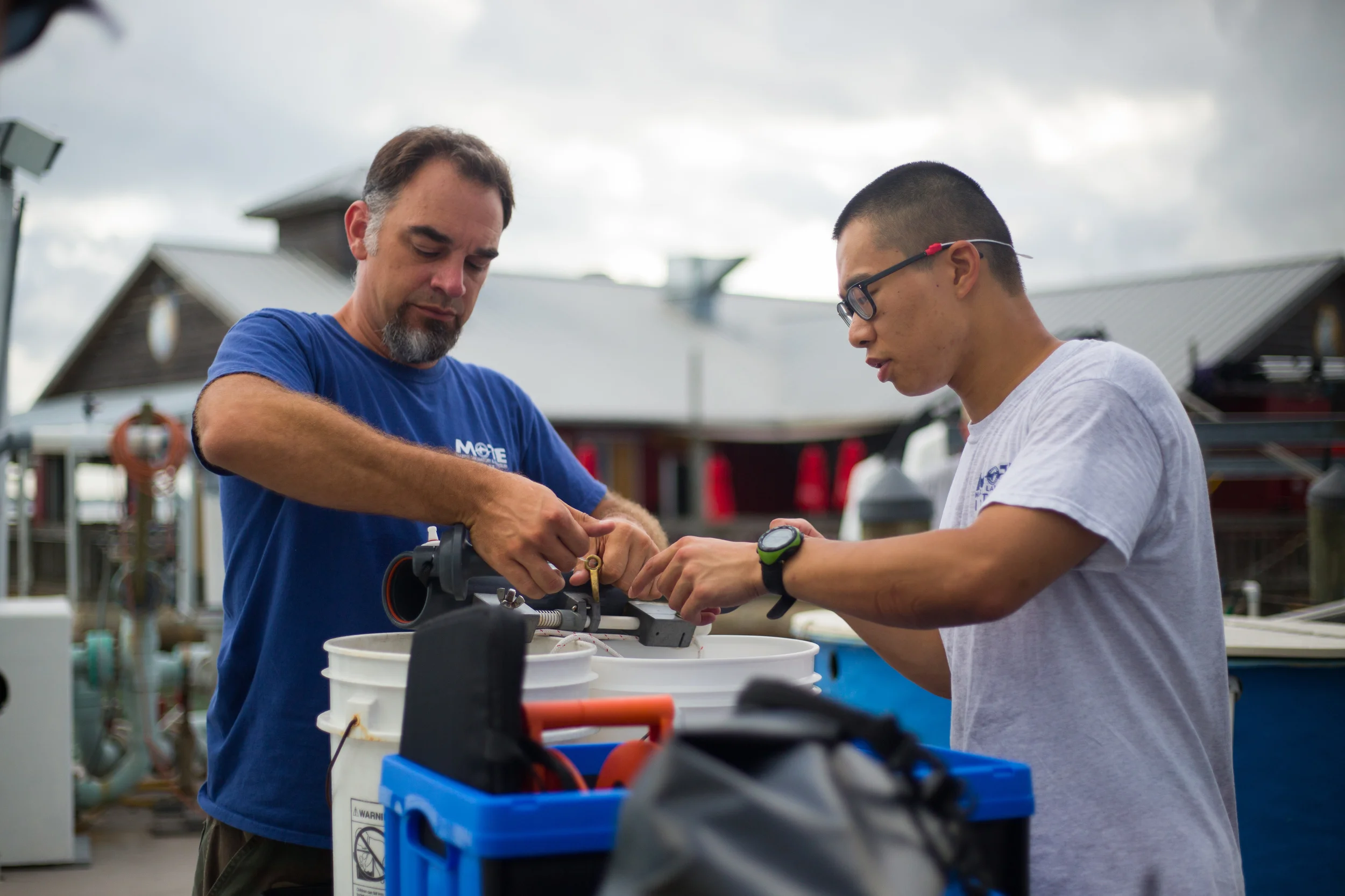 GENIE GLIDER 0001.JPG