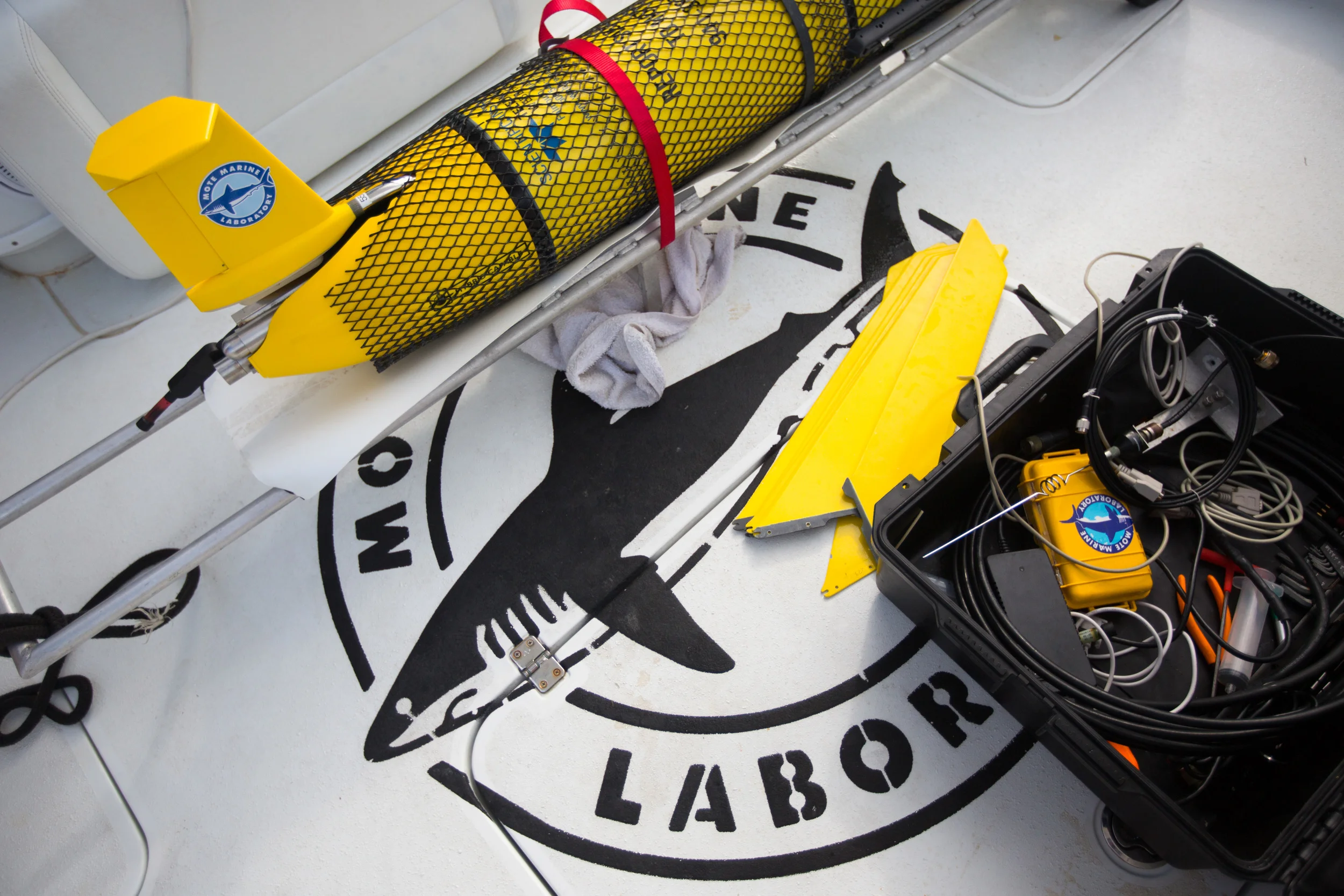 GENIE GLIDER 0008.JPG