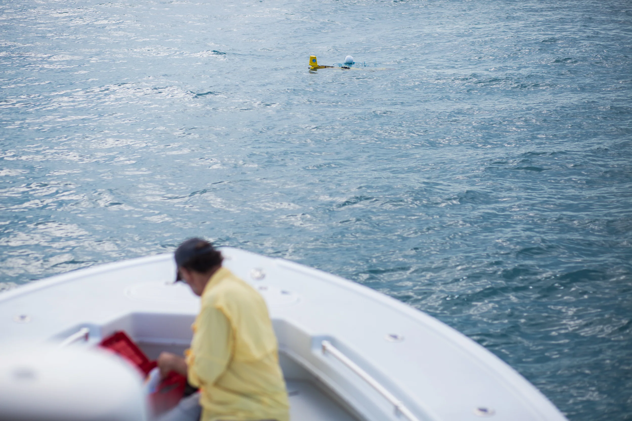 GENIE GLIDER 0013.JPG