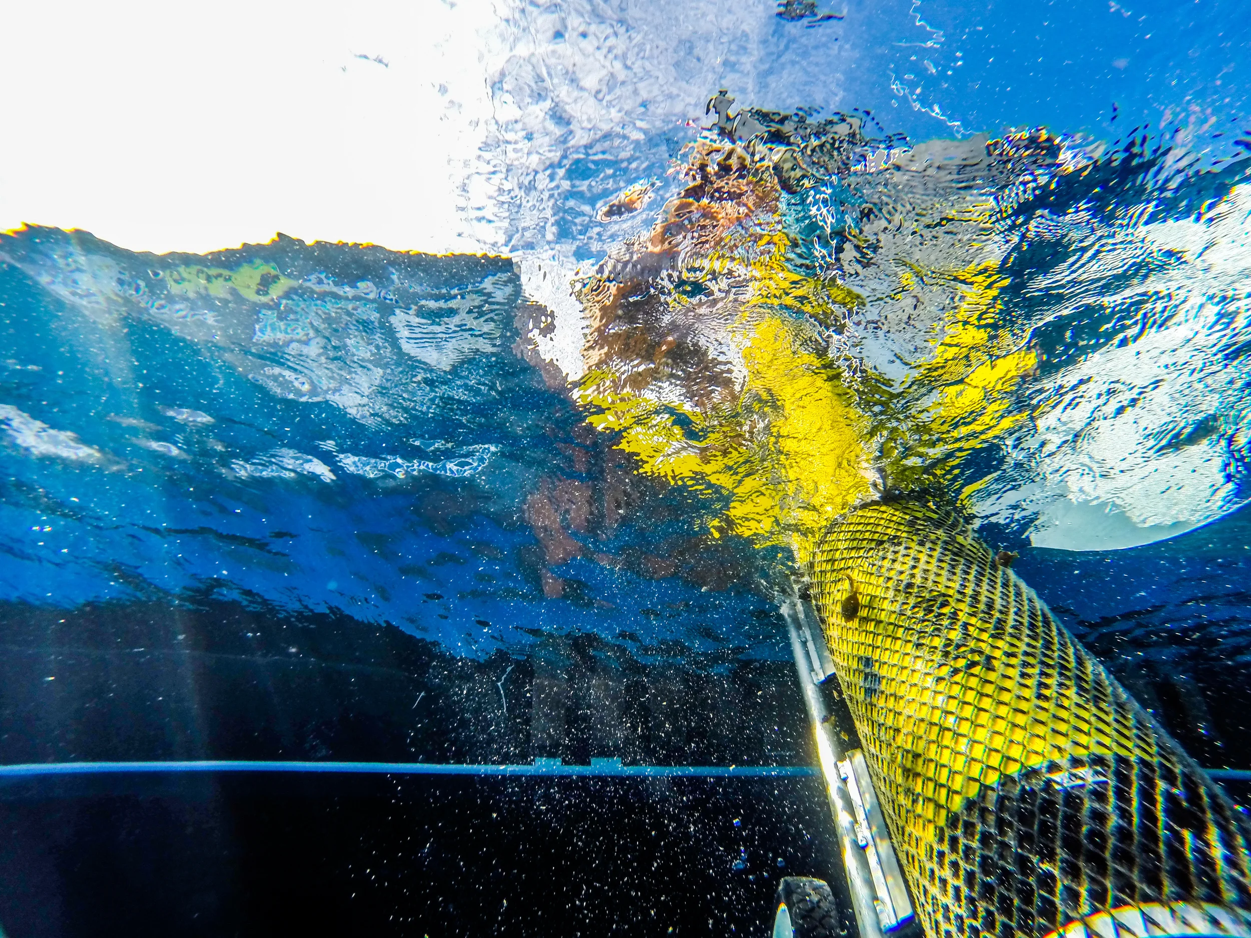 GENIE GLIDER 0020.JPG