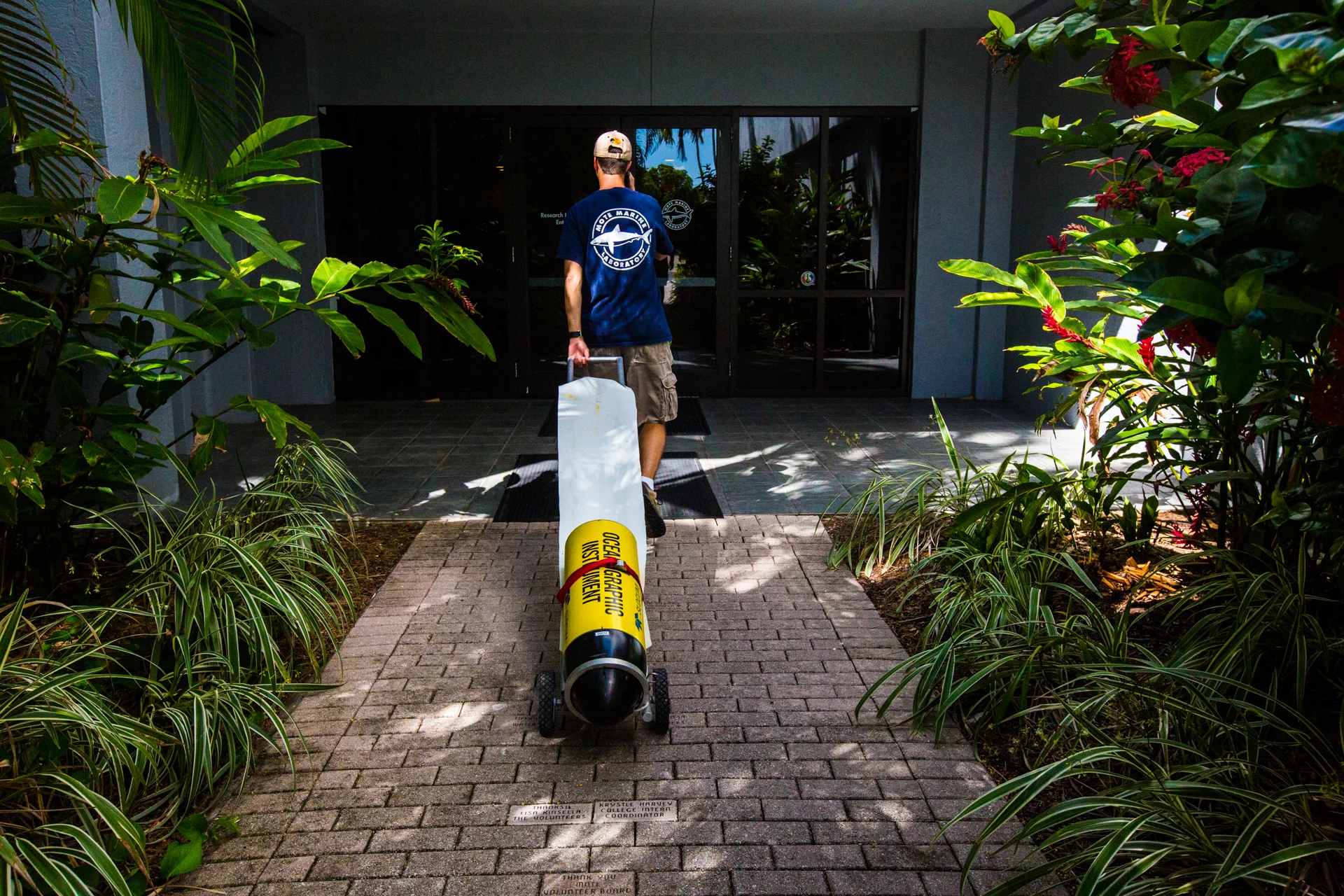 GENIE GLIDER 031.JPG