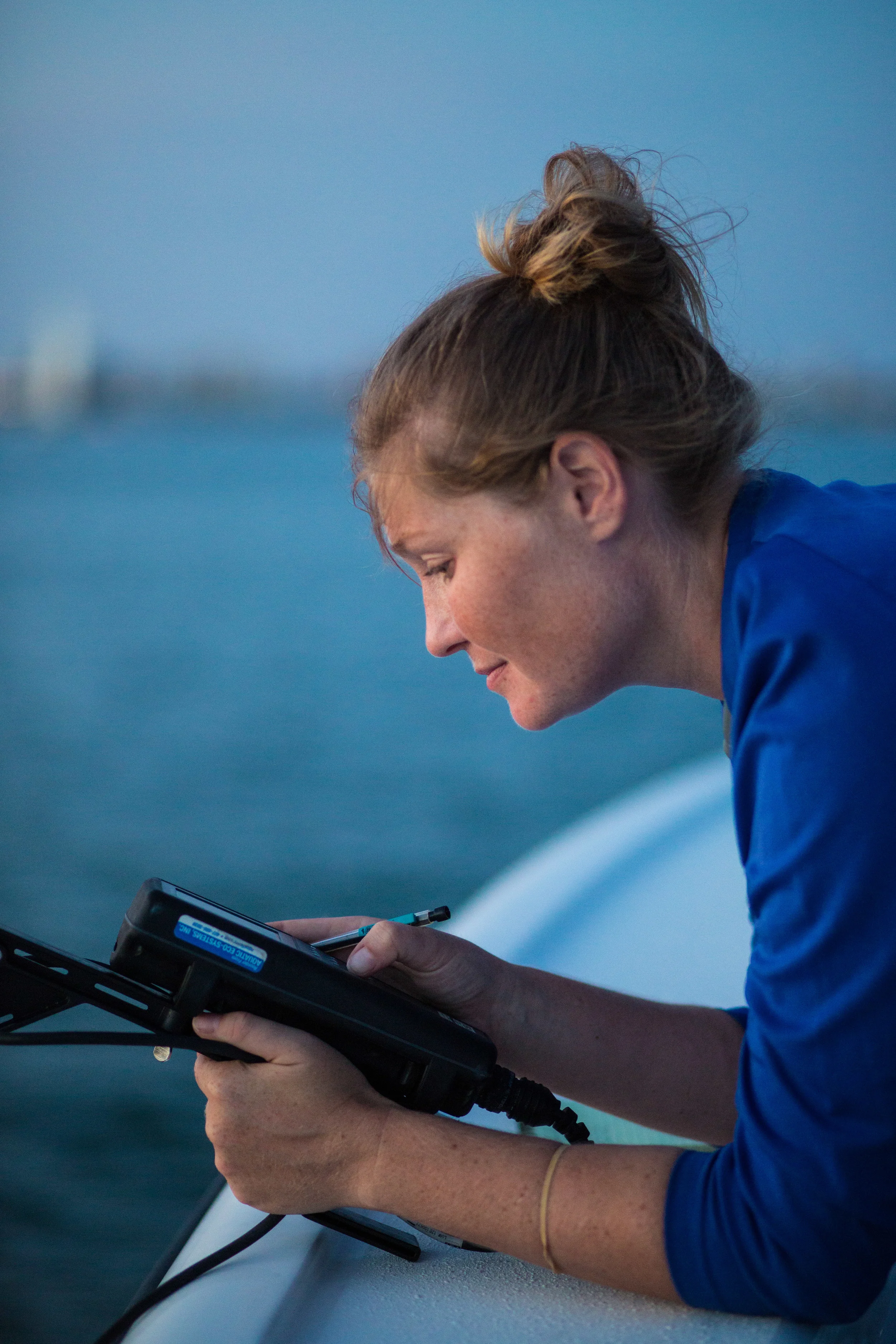 SHARK TAGGING 0008.JPG