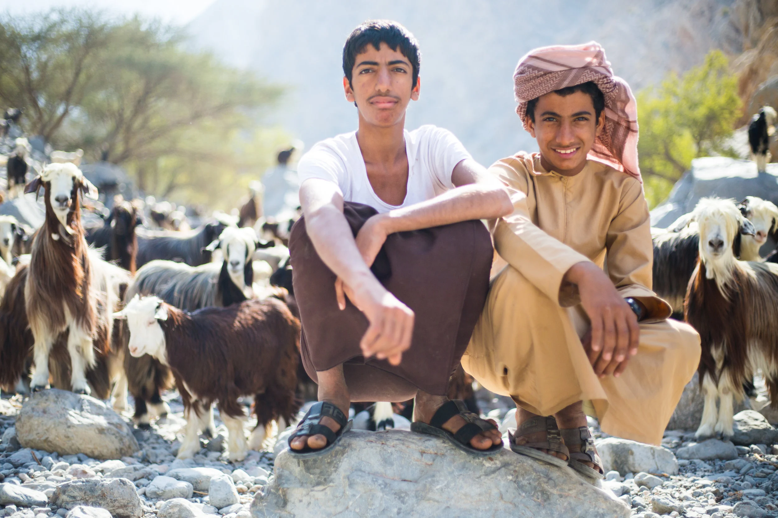  Teenage goat herders in Ayn Thawara 