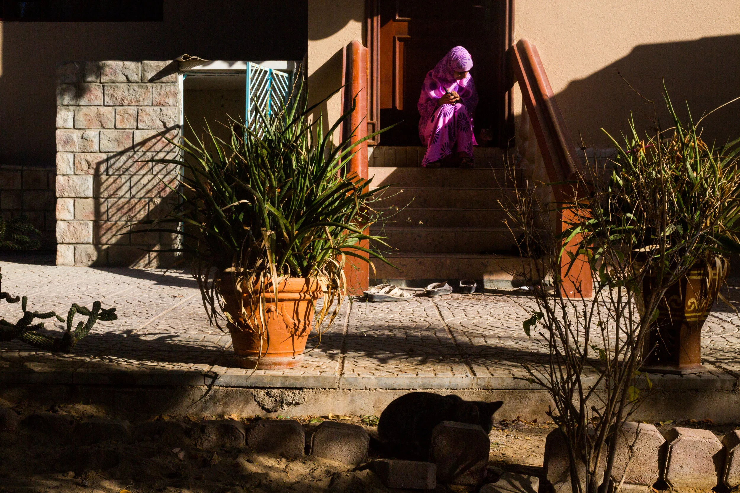  Morning in Al Khoud, Muscat 