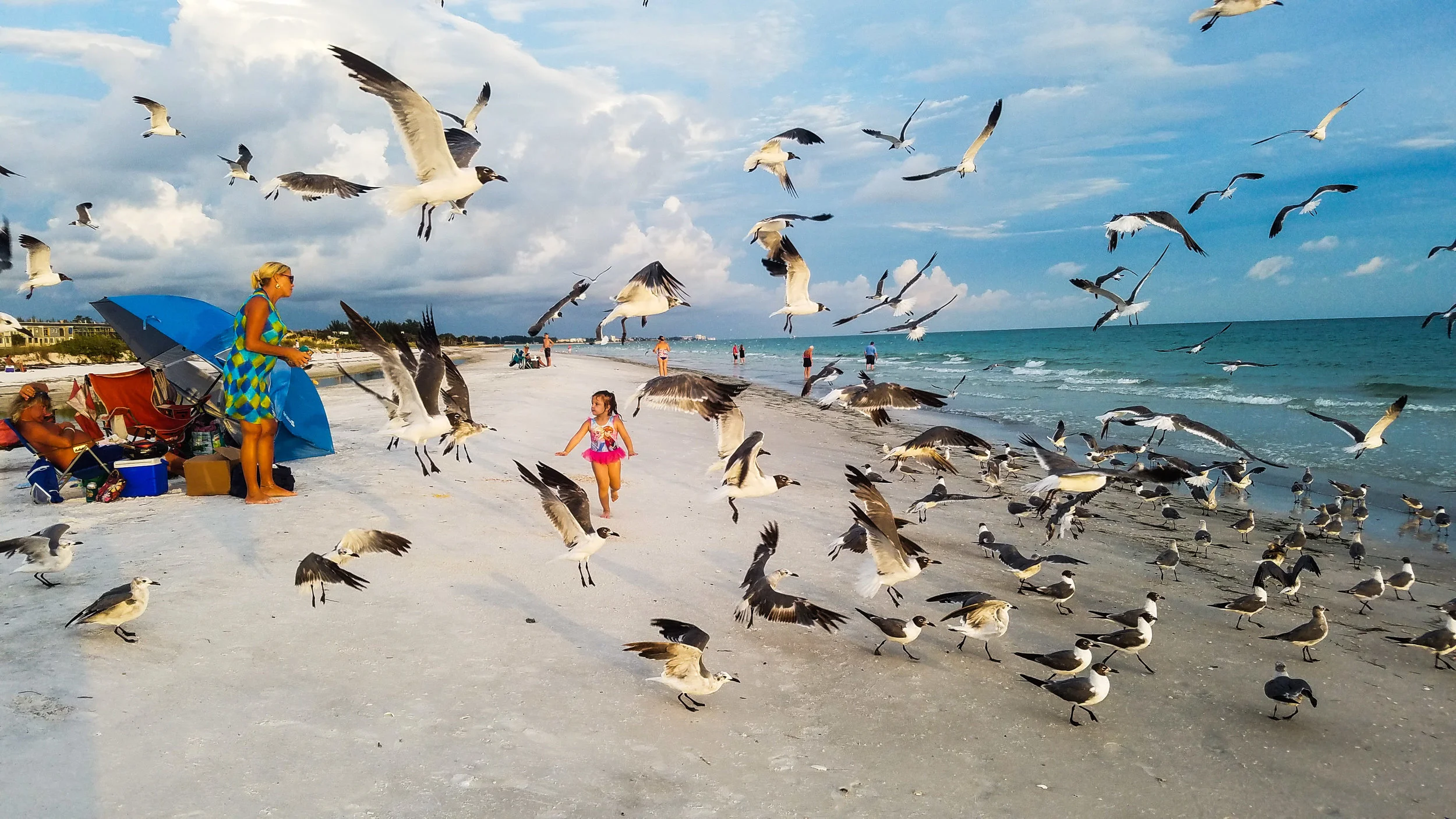  Longboat Key, Florida, July 2016 