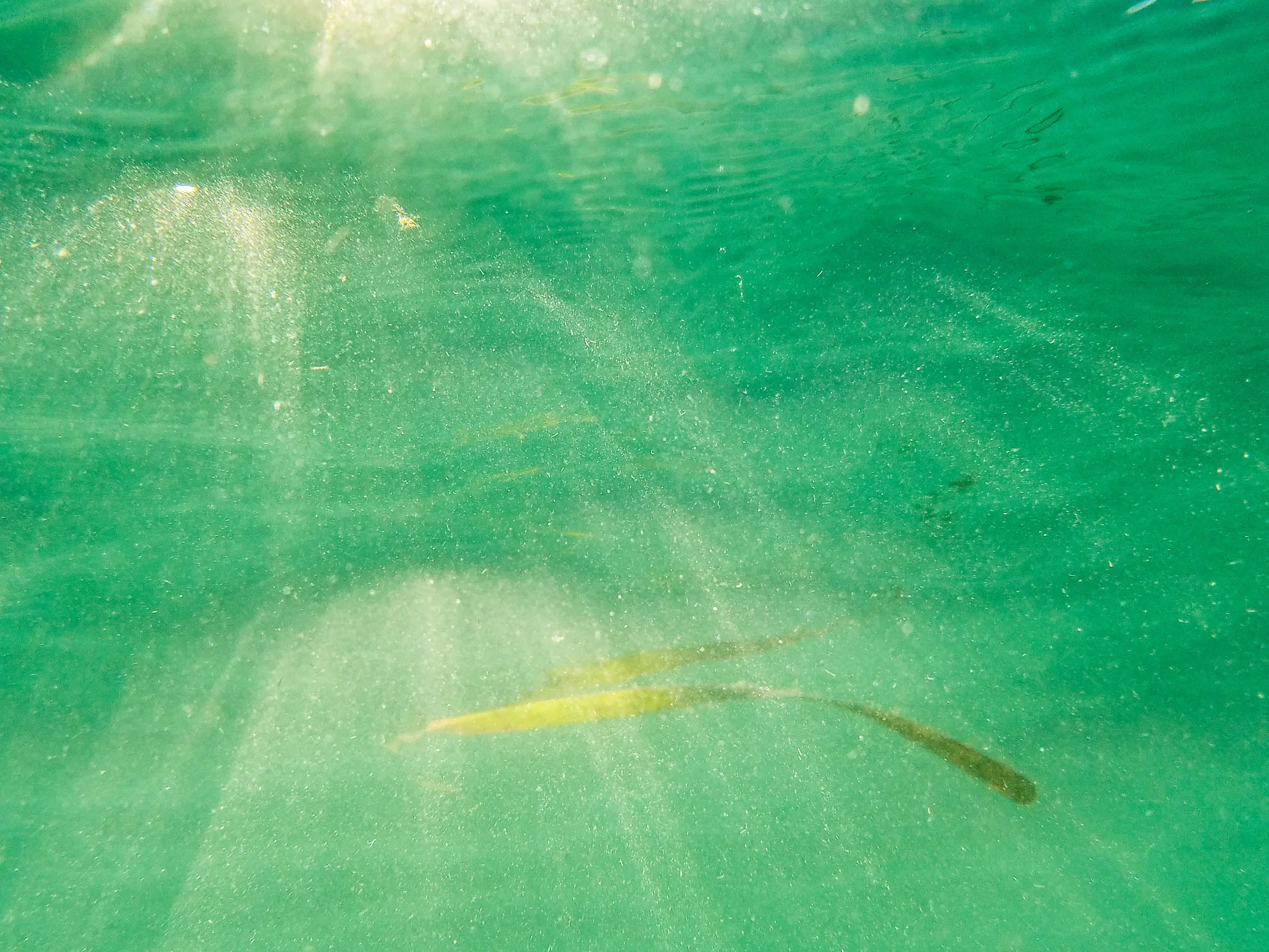  Gulf of Mexico, July 2016   