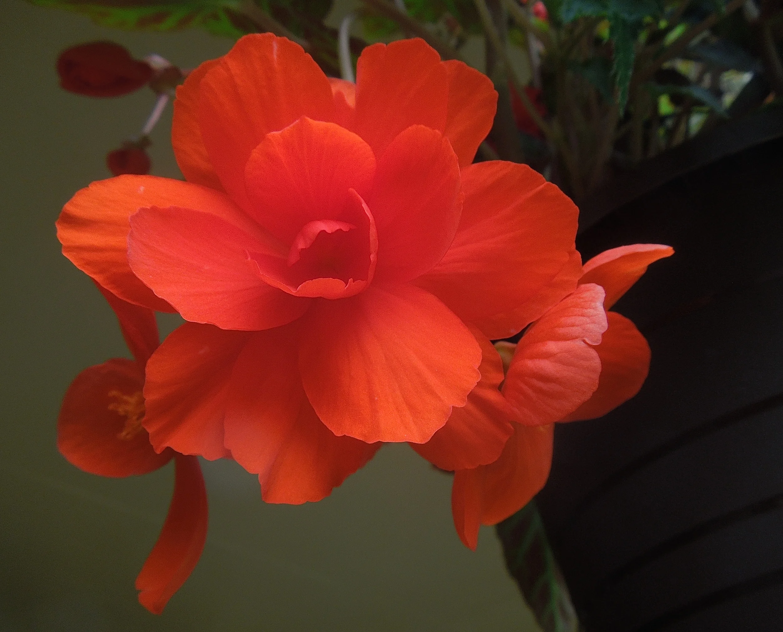 Workshop - Chakra Balancing