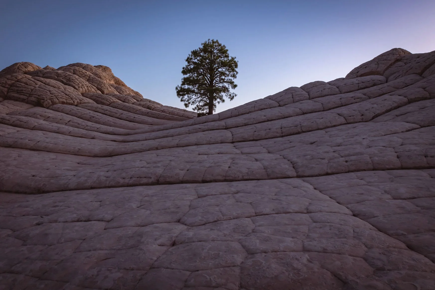 WhitePocket-7.28.24-4.jpg