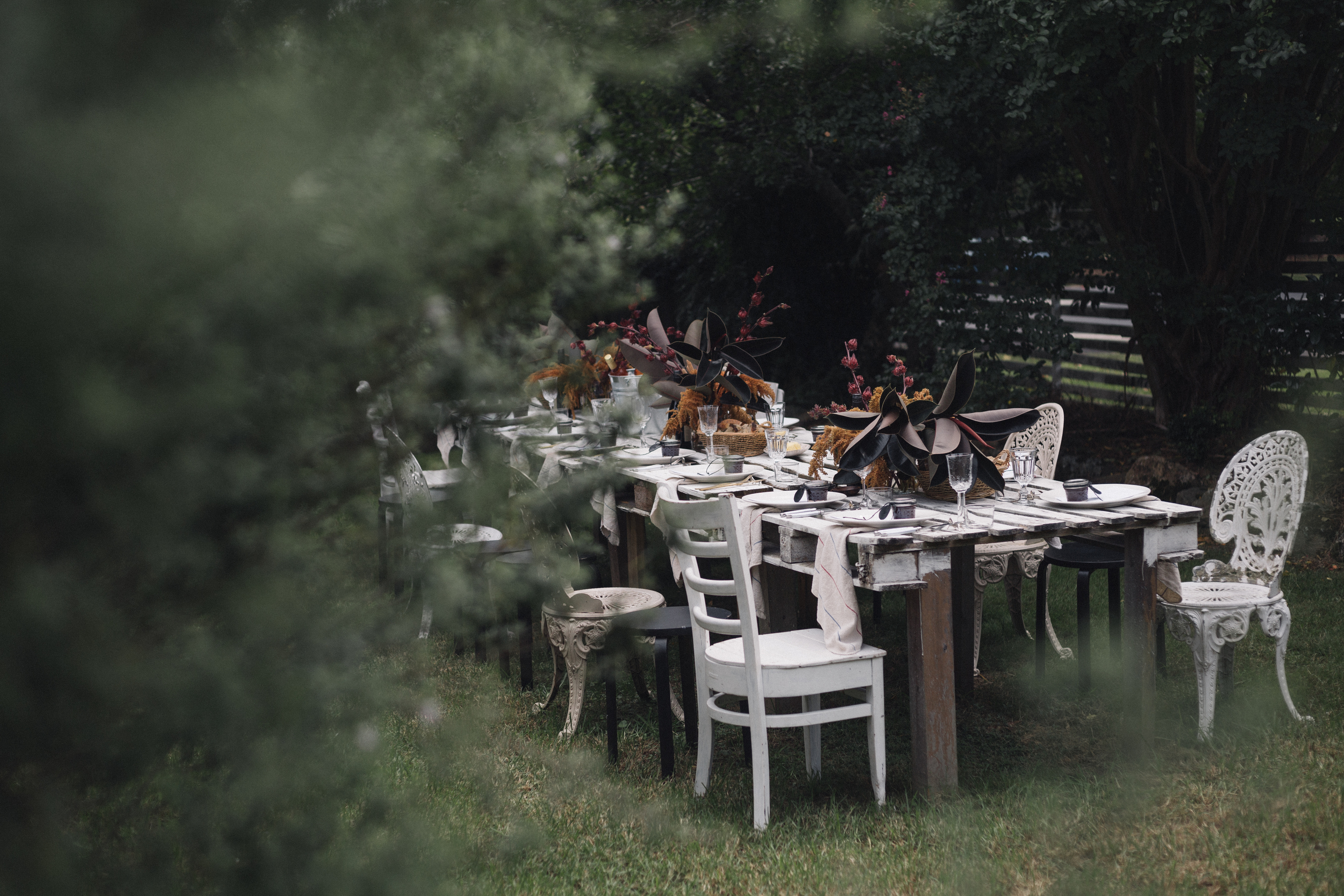 Location: THE COTTAGE Kangaroo Valley
