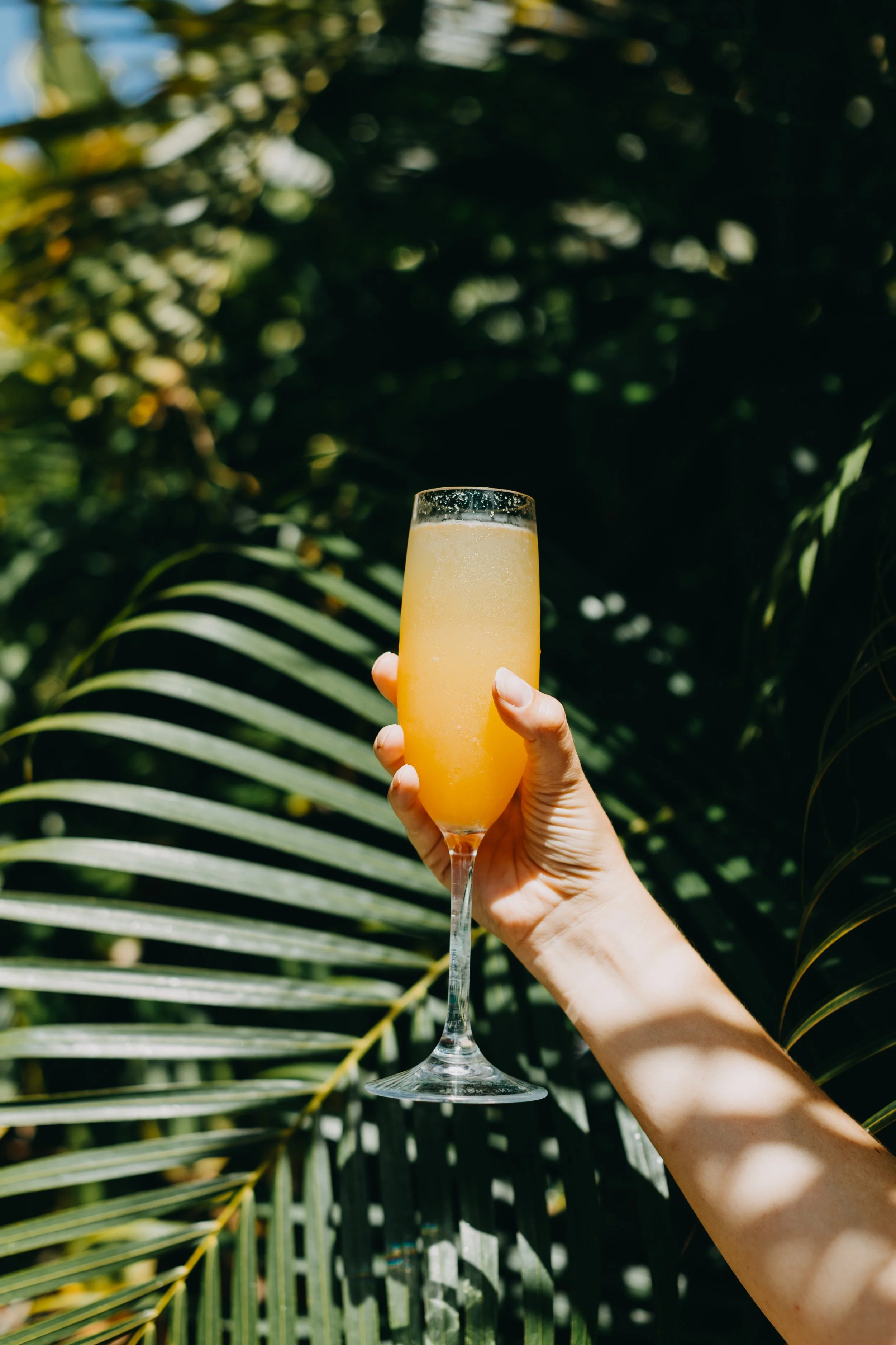 AGrose-Wayfinder Content-6.jpg