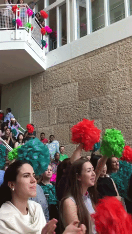 giphy-4.gif