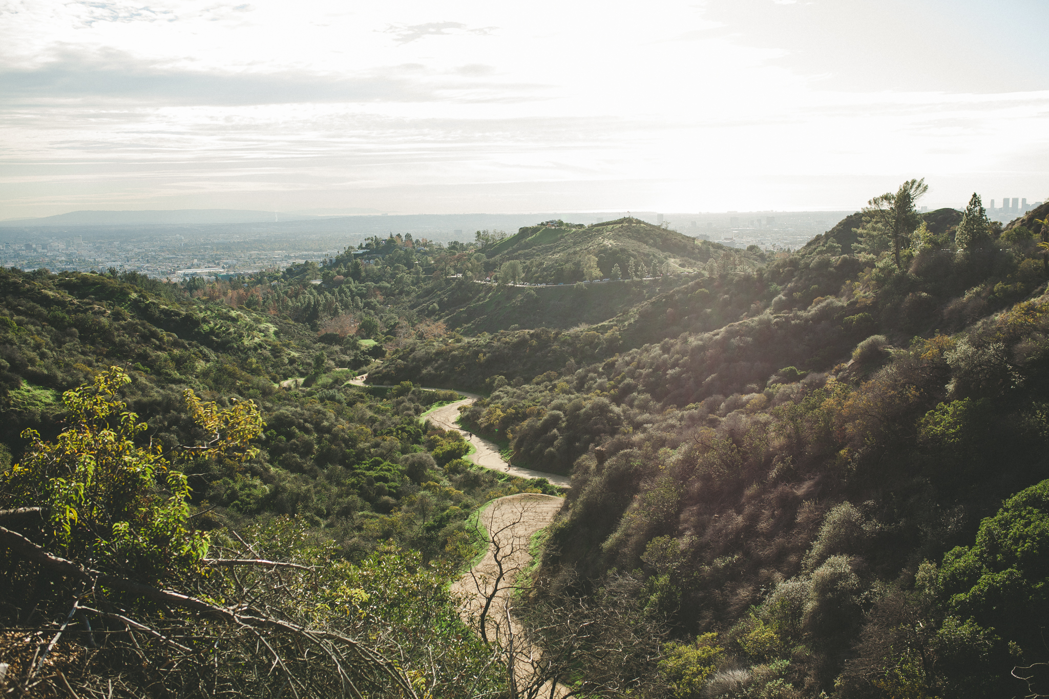 We spent all afternoon hiking around different trails my brother recognized, and eventually made it to beginning of the hike to Griffith Observatory.