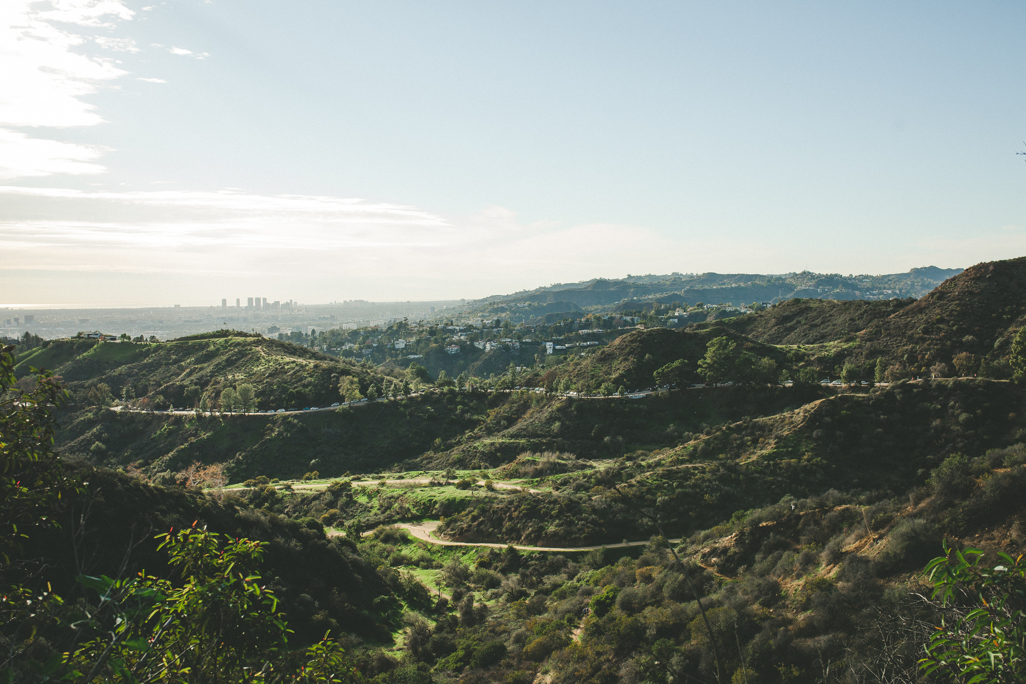 The most incredible views hiking up to Griffith observatory. 