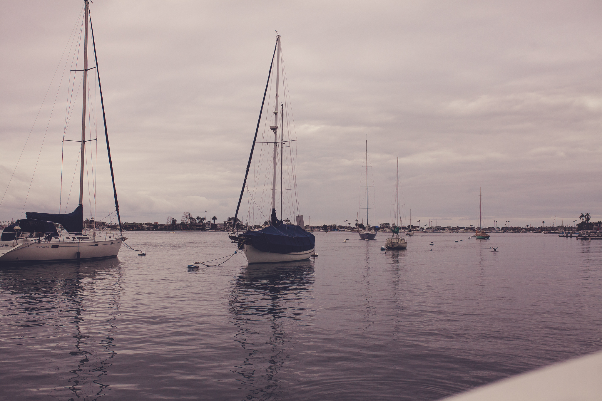 Very memorable boat trips at Newport beach.