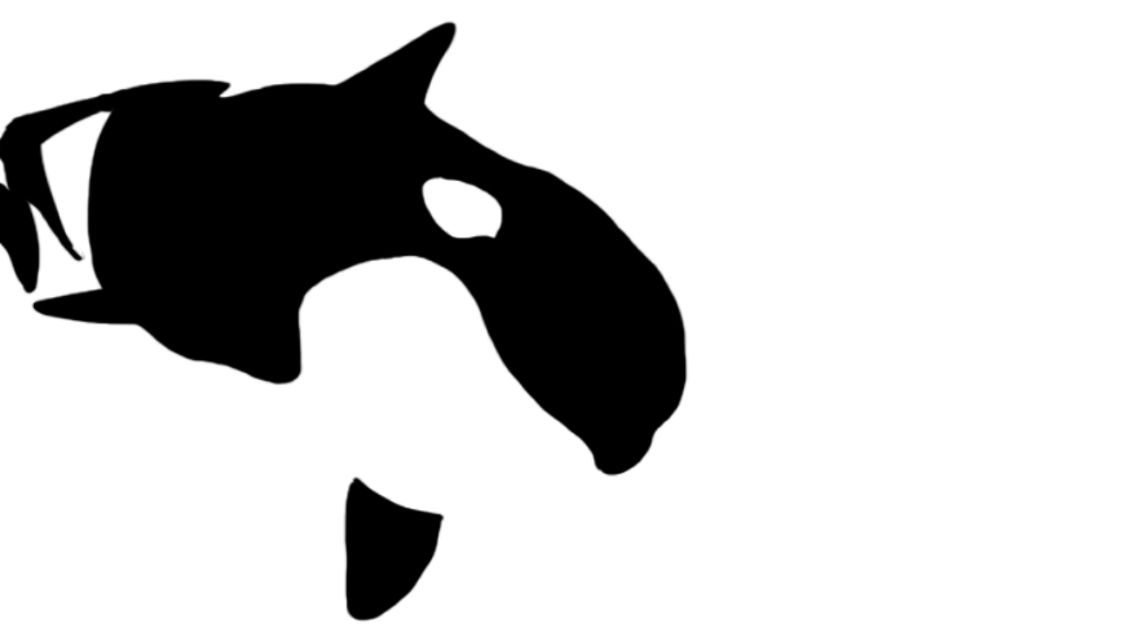 WDC