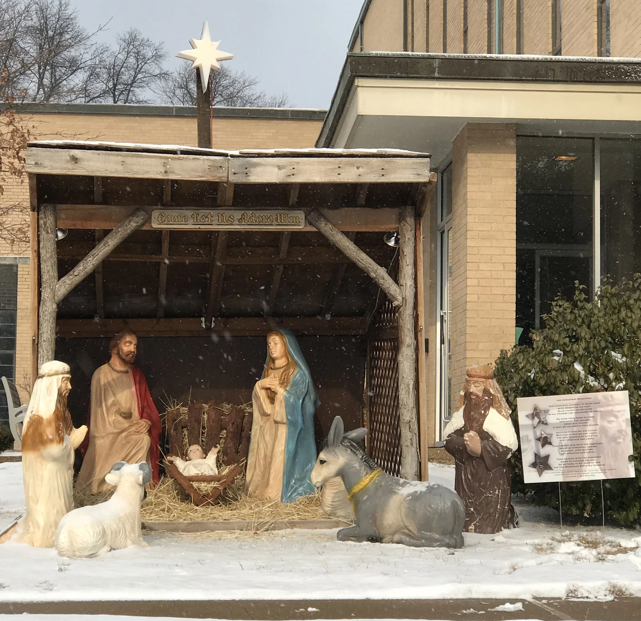 Rejoice with the shepherd as he finished his race! He returned to SJA for the wondrous birth we embrace! Come see him and the Baby Jesus at SJA for Christmas Eve Mass 4:40 or 10:30 pm tonight or Christmas Day at 8:00 or 10:30 am!