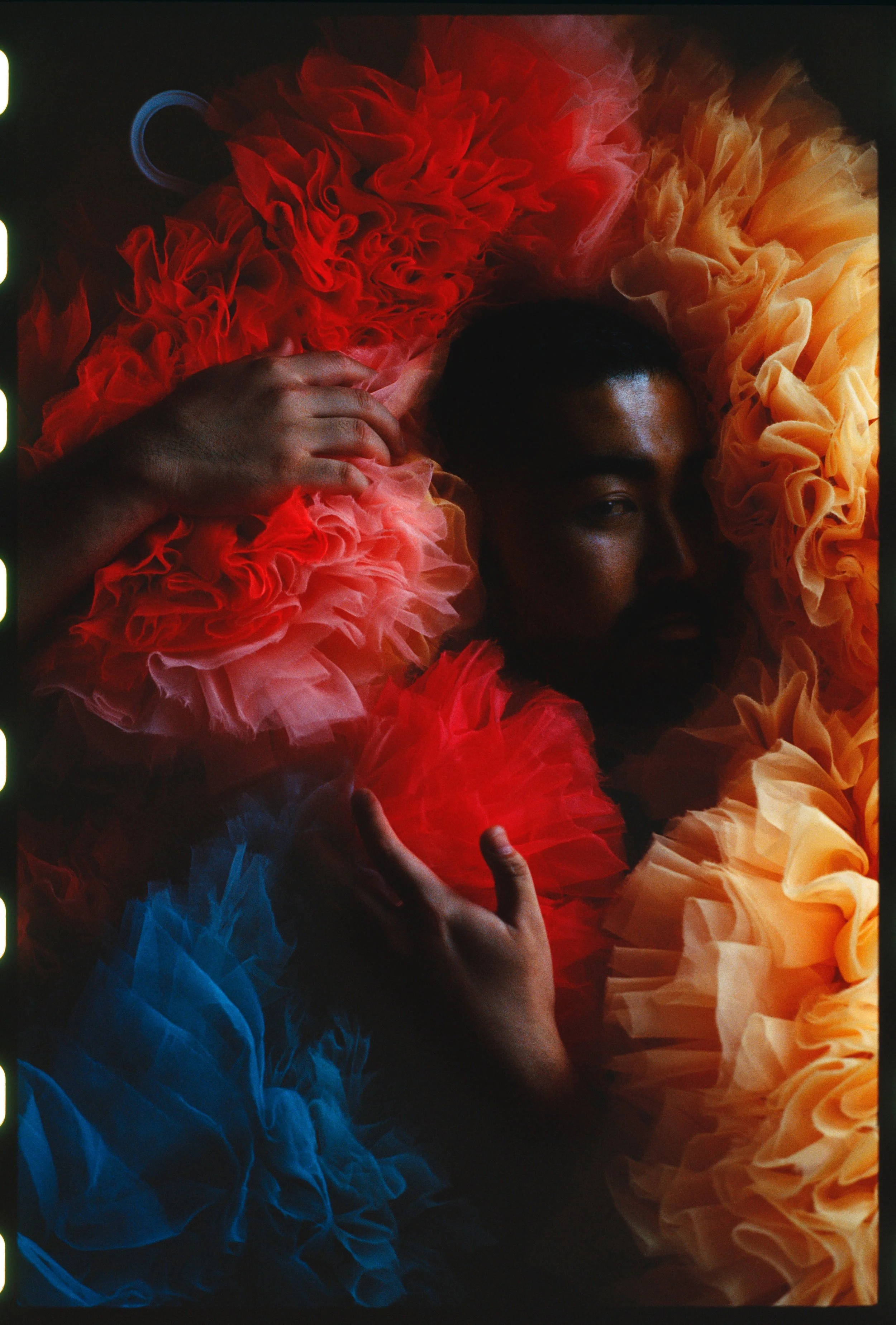 tomo koizumi for the new york times t magazine