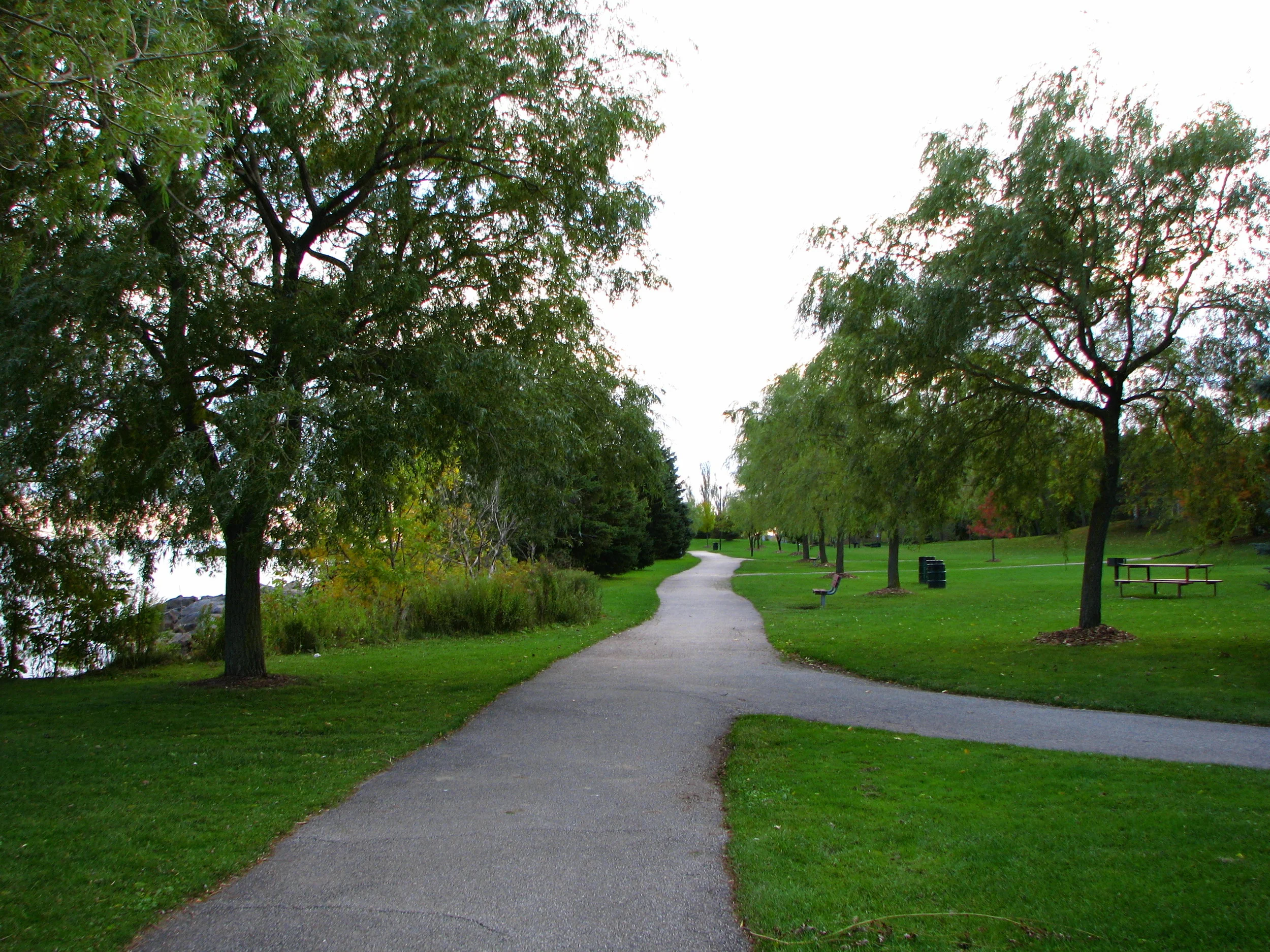 " JC Saddington Park " ( CC BY 2.0 ) by MSVG