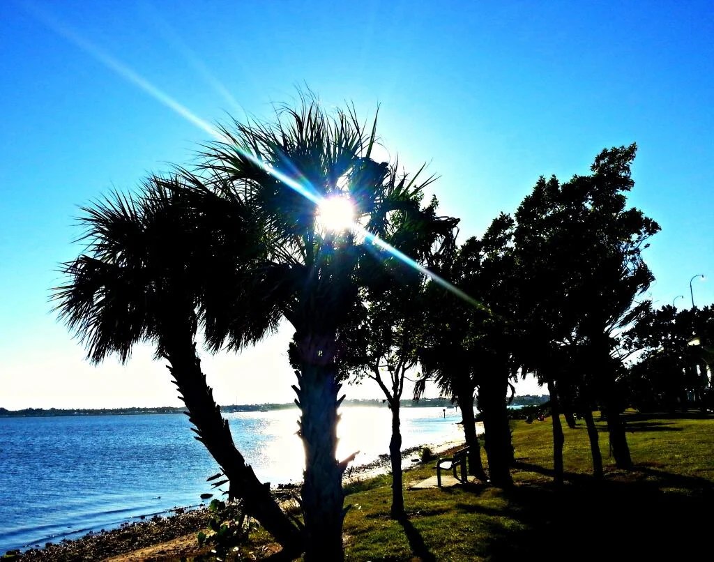 Modern Getaway - Magnificent Martin County, Florida