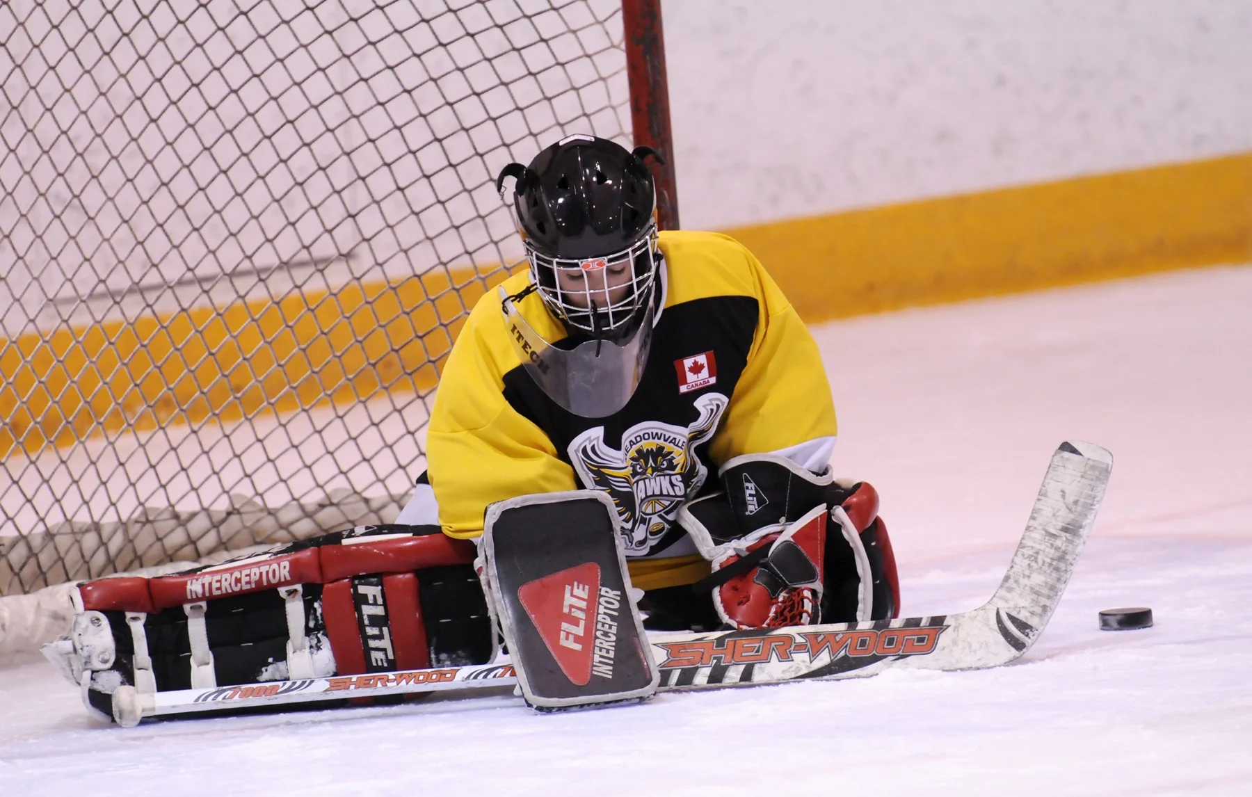 The Mississauga Hockey League celebrates its 70th season