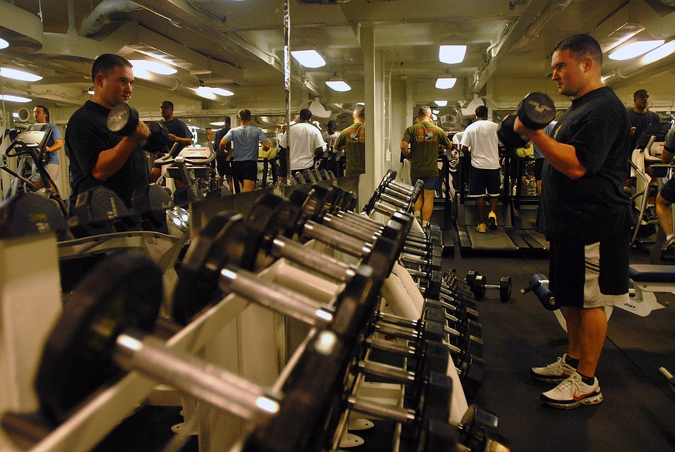 Cardio vs. weight training