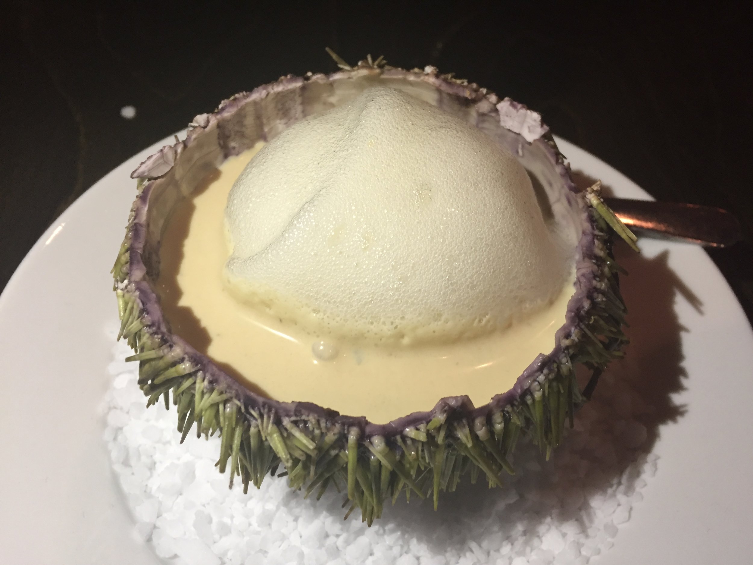  Sea urchin with a garlic, onion foie gras cream 