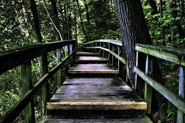 Two Mississauga locations selected as Canada's top 150 hidden gems