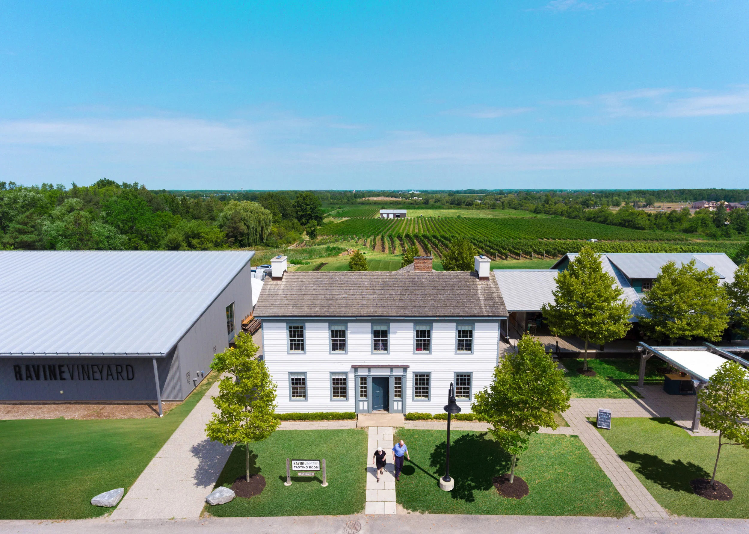 Ravine Vineyard.jpg