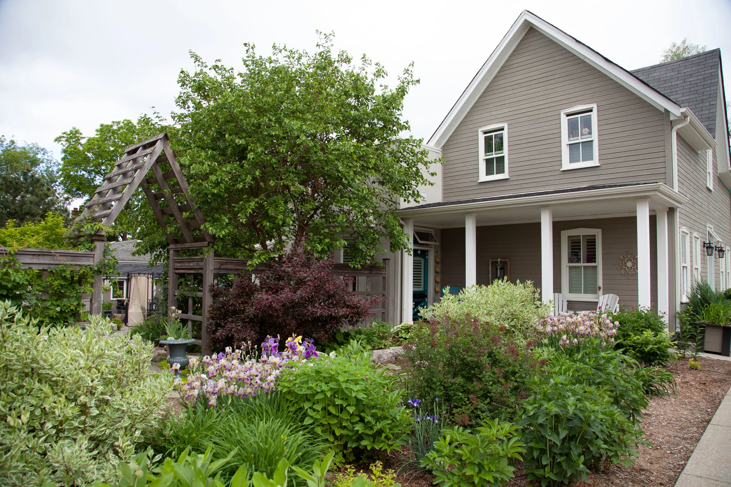 Front Yard June 6th 2018 .jpg
