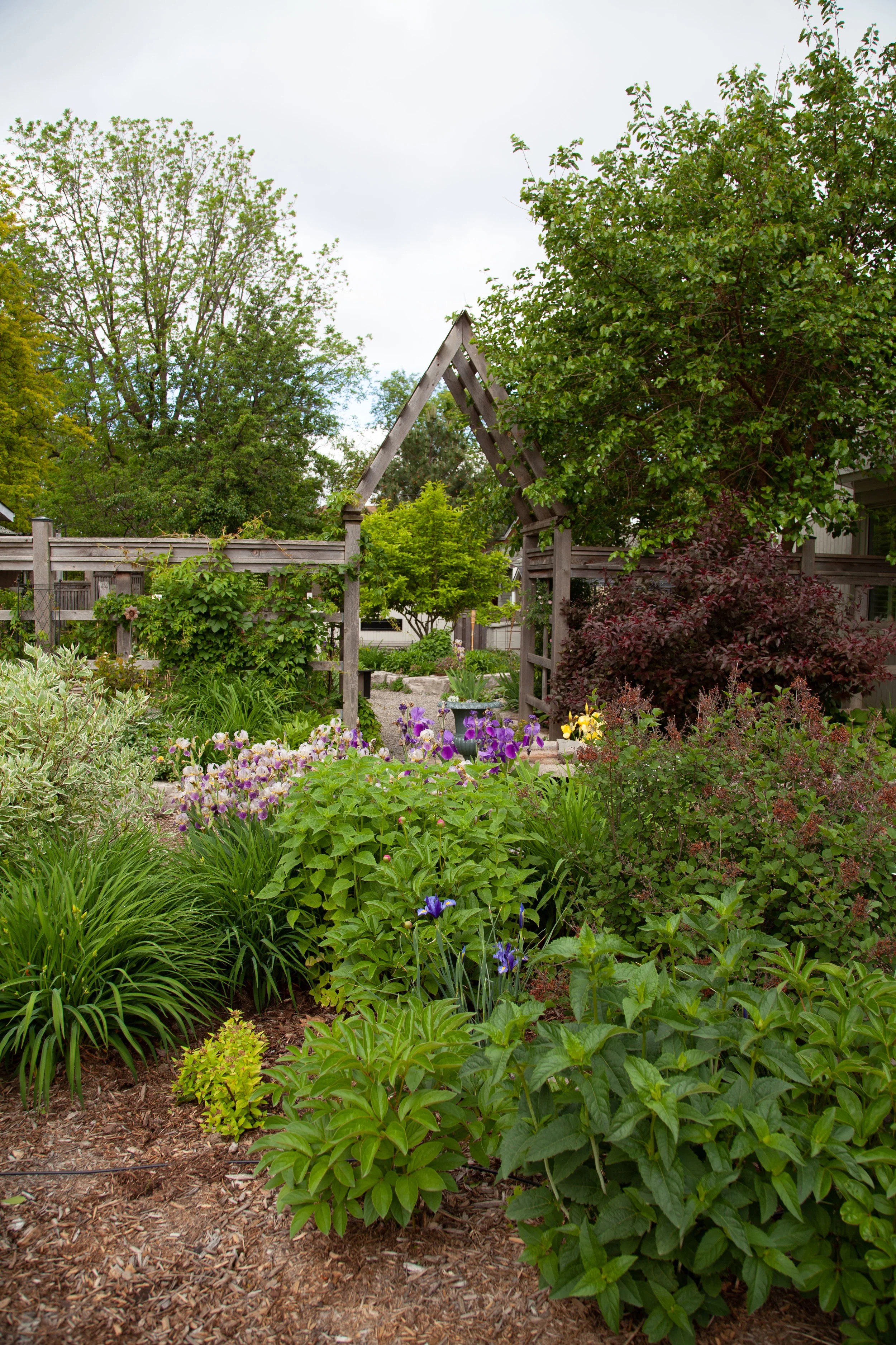 Front Yard perennials and lilac.jpg