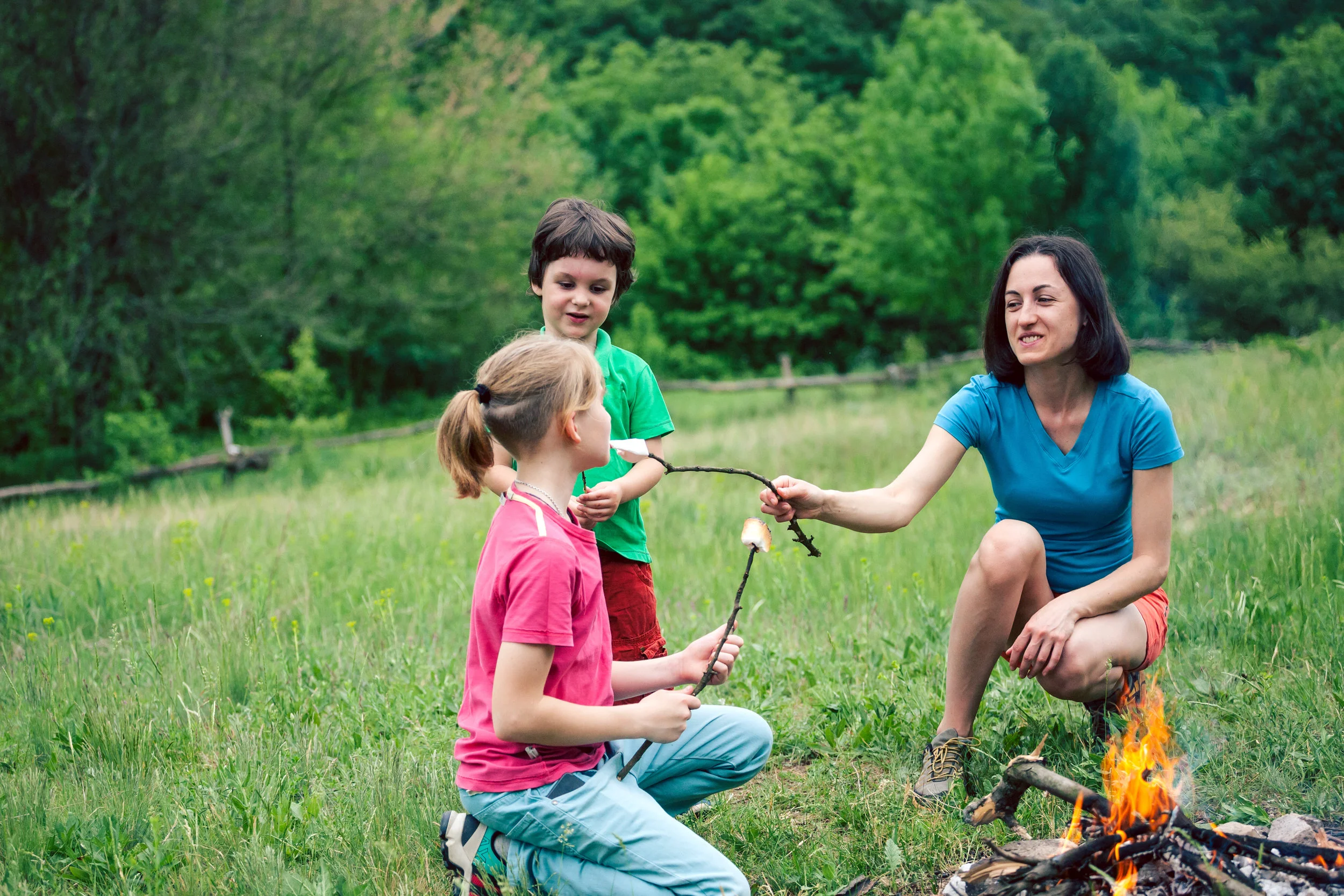 Modern Mississauga presents Fire Tip Friday - The Updated Open Air Burning By-Law
