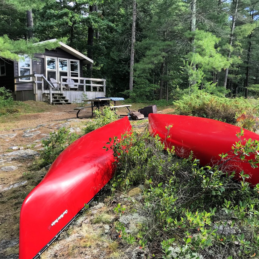 charleston lake boat rentals