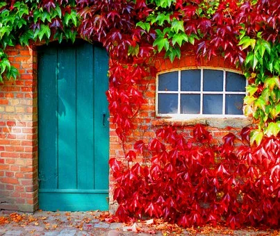 autumn-962755__340.jpg