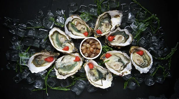 oysters-1209767__340.jpg