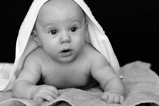 adorable-20374__340.jpg