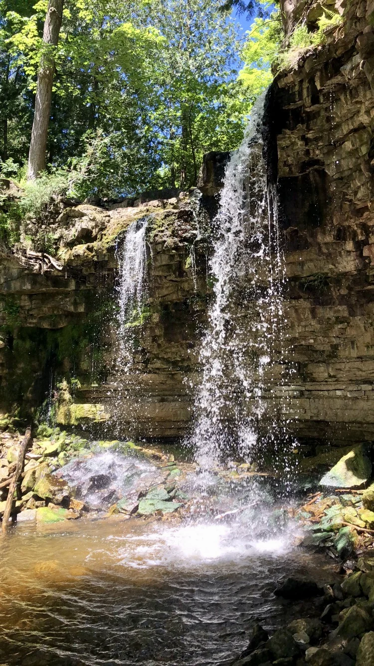 6 terrific hiking trails in and around Mississauga