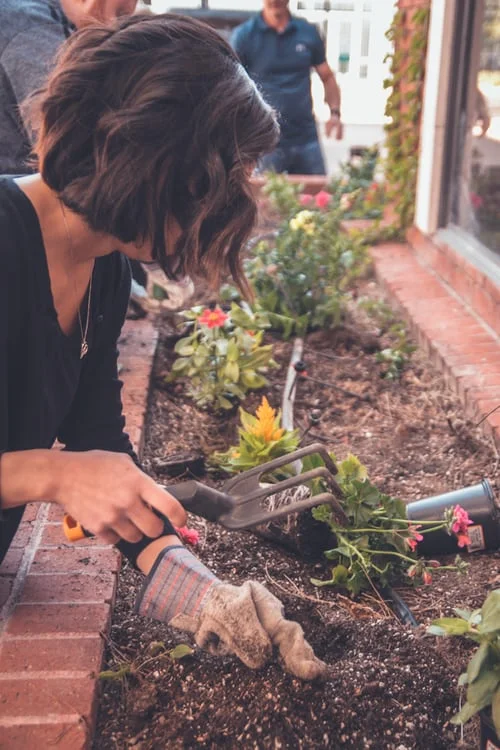 Gardening Trends For 2019
